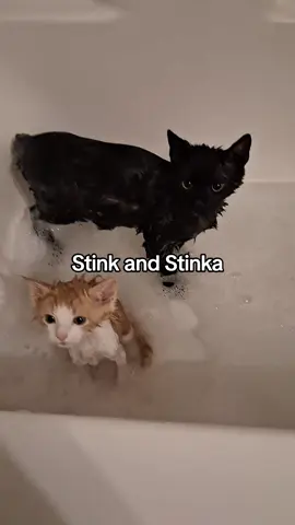 the faces of regret