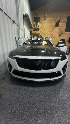 #cartok #ct5vblackwing #cartiktok #hellcat #bmw 