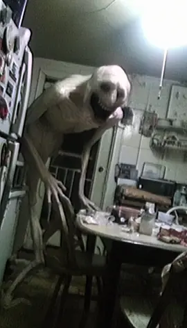 The kitchen light kept turning on by itself… now we know why. #analoghorror #nightmarefuel #horror 