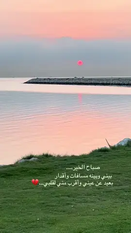 #صباح_الخير #اكسبلور #foryou #fyp #مجرد________ذووووووق🎶🎵 
