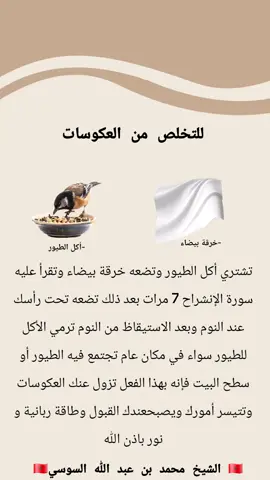 #إسبانيا🇪🇸_ايطاليا🇮🇹_البرتغال🇵🇹 #كندا🇨🇦 #بلجيكا🇧🇪_بروكسيل_المانيا_فرنسا_هولندا #الجالية_المغربية_في_كل_مكان #جلب_الحبيب_فك_السحر_زواج_البناة 