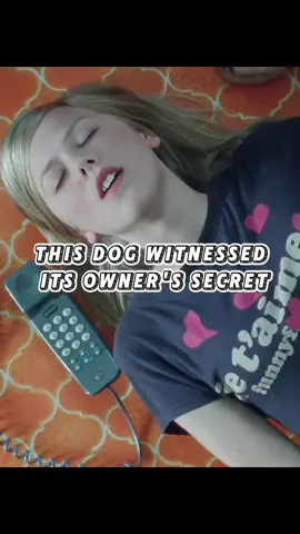 A film you’ve definitely never seen in American,This dog witnessed its owner’s secret #usa🇺🇸 #foryou #movie #USARomance#TeenloveStoryUSA