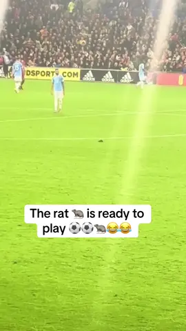 Belgium 🇧🇪 vs wales 🏴󠁧󠁢󠁷󠁬󠁳󠁿 World Cup qualifiers #belgium #Wales #footballtiktok #viraltiktok #fyppppppppppppppppppppppp  football for you today football goal highlights skills dribbles fans reactions live updates for you Kelvin De Bruyne Trossard Doku Onana Courtois vs Wales Germany today game against Wales Rat 🐀 on the pitch today live updates for you Germany vs wales 🏴󠁧󠁢󠁷󠁬󠁳󠁿 World Cup qualifiers fyp fyy foryoupage football viral post trending now today 