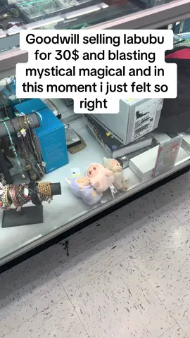 #bensonboone #moonbeamicecream #labubu #lifeworksout 