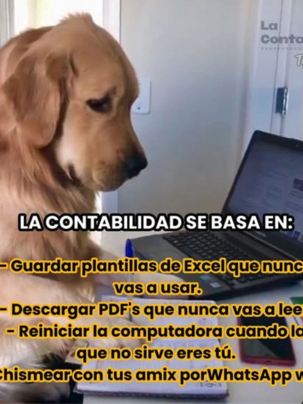 AHH BUENO PARA EL CHISME EXCELENTE!!! Y PARA MANEJAR EXCEL Y EDITAR PDF NO VERDAD!!!  🤣🤣🤦‍♂️🤷‍♂️ YA FUE SUFICIENTE HASTA MAÑANA