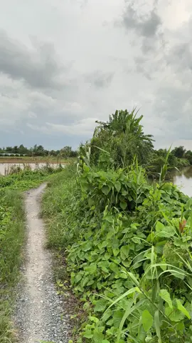 NHÀ ĐẤT MR ĐẾN chuyên: LÀM MÔI GIỚI BẤT ĐỘNG SẢN VÀ LÀM GIẤY TỜ ĐẤT ĐAI.  Lh : 0906 737 249