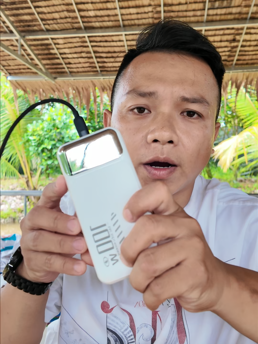 pin này hàng chuẩn thật