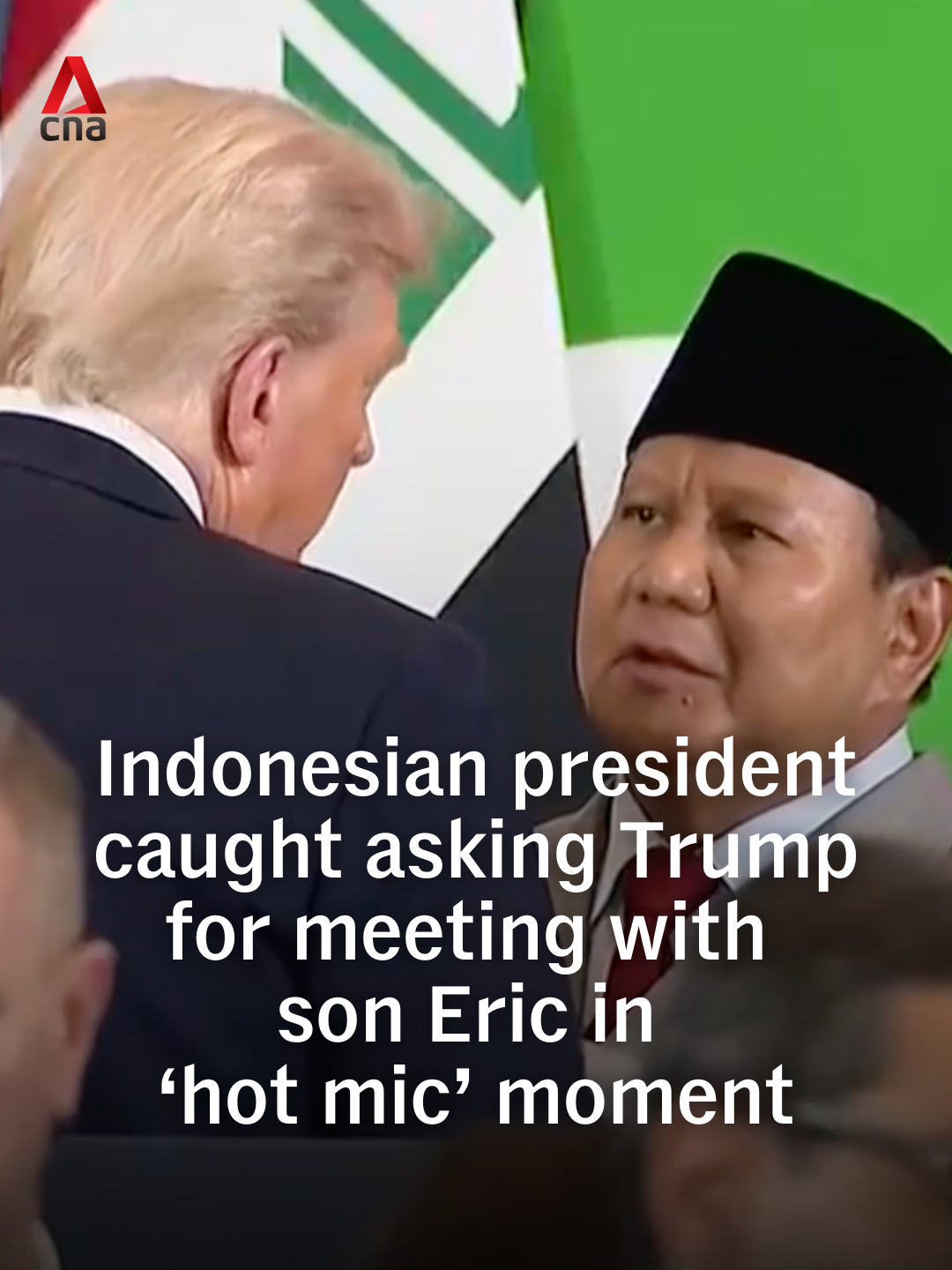 Indonesian President Prabowo Subianto was caught on a live microphone asking US President Donald Trump if he could meet with Trump’s son Eric, an executive vice president of the Trump Organization, after a Gaza summit on Monday (Oct 13). Speaking to Trump behind a podium, Prabowo mentioned a region that was 