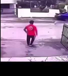 Dạy anh em kỹ năng.. đuổi chó😂😂😂#funnyvideos #haihuoc #funnydog #viralvideo 