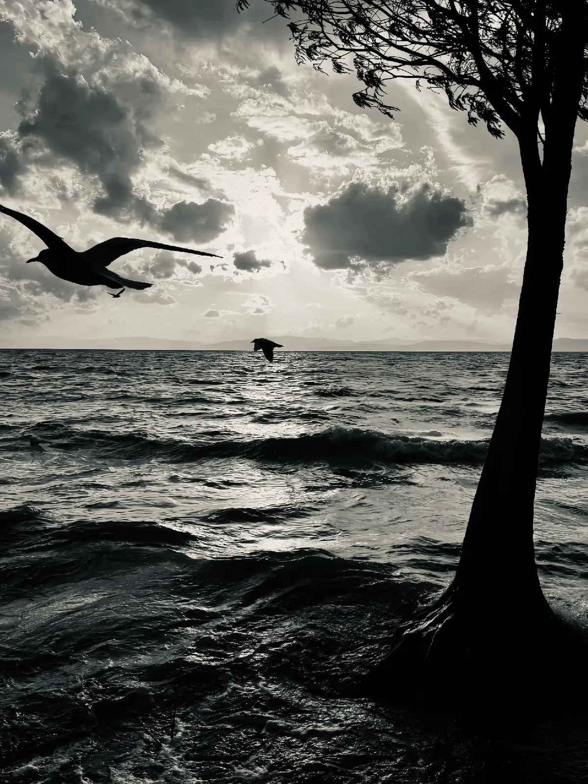 “生活并不总是如我们所愿，但每一次挑战都是让我们更了解自己、更坚强，并学会珍惜身边平凡事物的机会。”