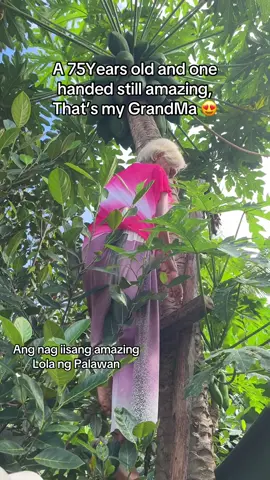 Ang nag iisang amazing Lola ng Palawan #fyp #palawan #kmjs #lolaNgPalawan 
