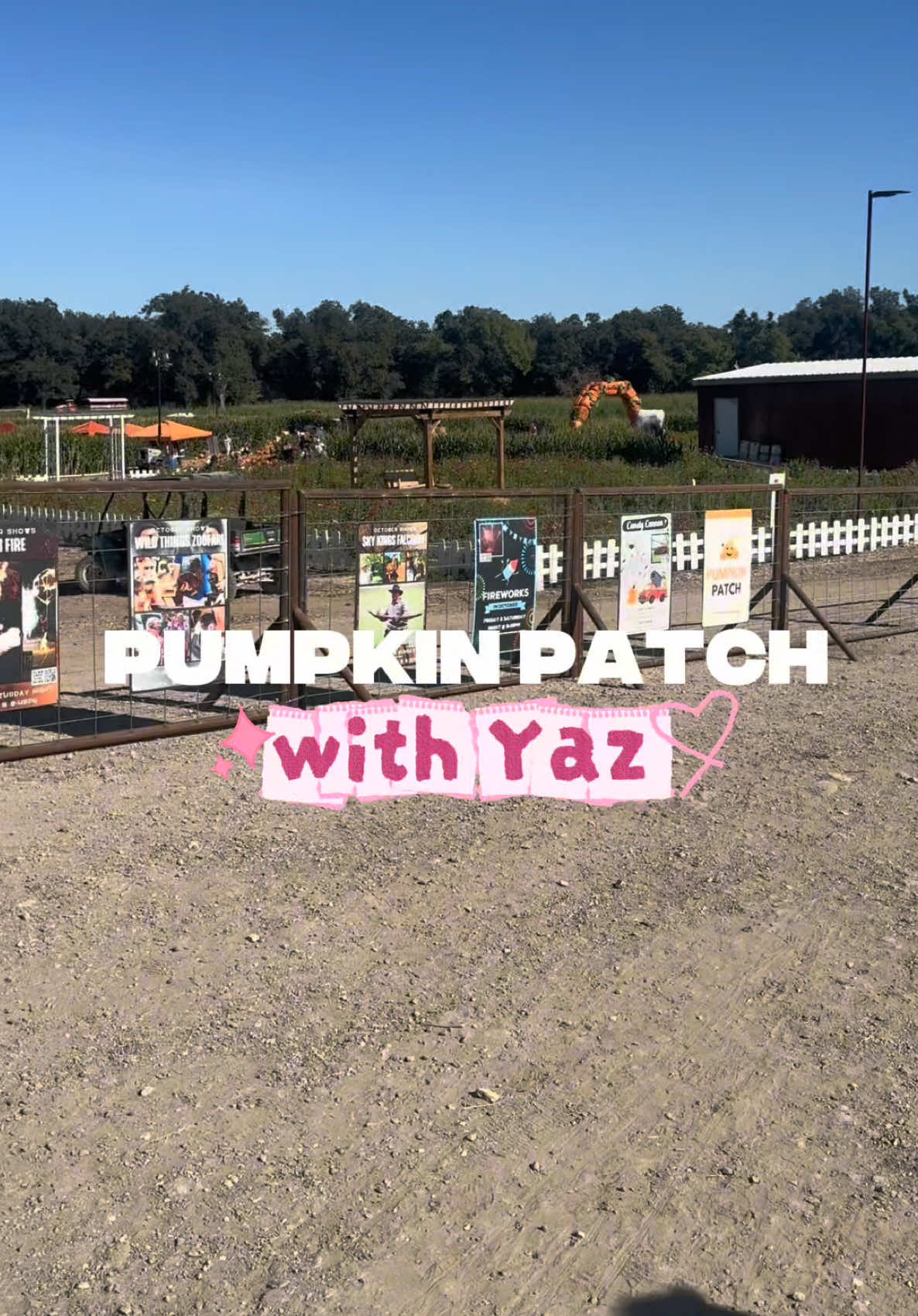It’s still hot in Texas, but the fall festivities have to start🍂🎃☕️! I didn’t get cute pictures, but I did enjoy myself! This would be perfect for kids of all ages🧑‍🧑‍🧒‍🧒! #fyp#pumpkinpatch#iloveyaz#fallactivities#texaspumpkinpatch 