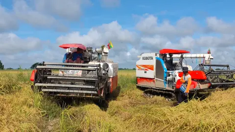 စက်ရိတ်နေရပါတယ်  ဖတ်အိပ်ချင်တာ😂😆🚜