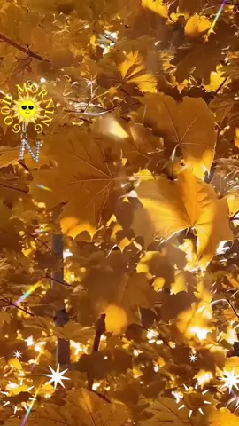 ДОБРОГО РАНКУ!🌞🔆🌞