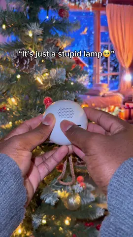 It’s not stupid 🥺#christmas #petloss #fyp #doglover #fypシ 