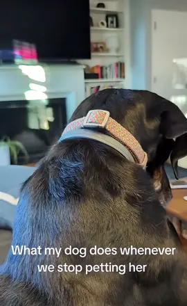 The audacity 😂 #foryoupage #fypシ゚viral #fypシ #viral #fyp 