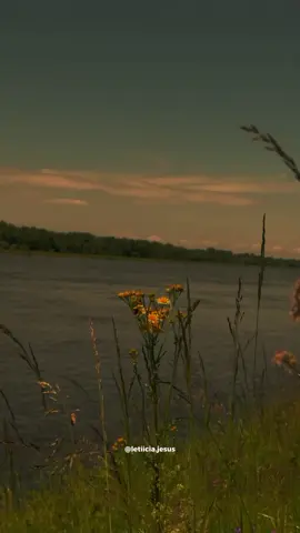 A fé em Jesus nos convida a olhar além do visível, a confiar no Espírito mesmo quando não podemos explicar, e a abraçar que em Cristo a morte perde seu poder definitivo. Crer é ligar-se à vida eterna que Ele oferece. E assim, viver com esperança ainda nos vales escuros. João 3:8,11-12; João 11:40; João 11:25-26. #deus #amor #versiculosbiblicos #fyp  #jesus 