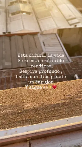 Esta fuerte la vida de adulto 🥹#paratii #fyp #tiktokviral #fyppppppppppppppppppppppp #vicoc 