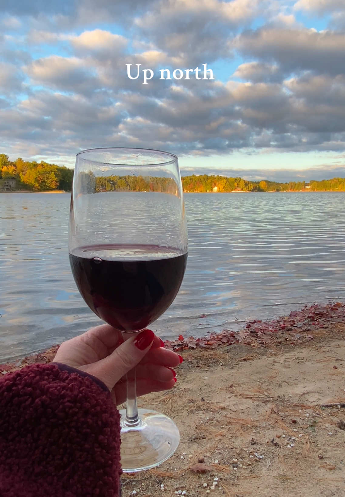 Forever my favorite place. Being able to show my kids how I experienced northern Michigan and more make the best memories #traversecity #northernmichigan #familymemories 