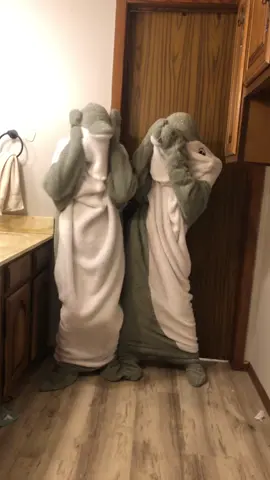 Dolphins dancing #dolphins #dancing #viral