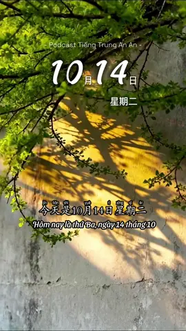 14.10.25 🌿 Trường năng lượng tích cực đến từ việc chọn đúng người để đồng hành. #hoctiengtrung #podcast #radioanan #桉桉电台 #hsk 