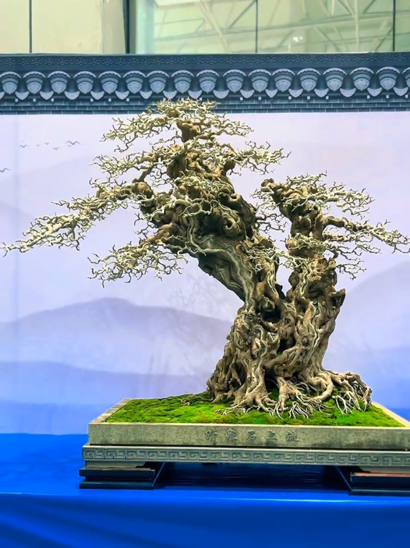 xuất sắc #caycanh #bonsai #bonsailinhnam 
