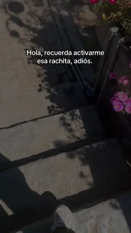 actívame esa rachita😮‍💨🔥#fyp #parati #racha #laracha #lentejas 