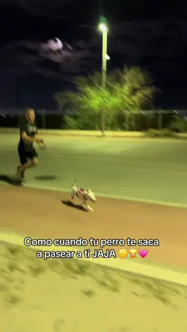 Como cuando tu perro te saca a pasear a ti 🙃😂😂 @Jkvmos #humor #perrostiktokers #foryoupage #fyp #risa 