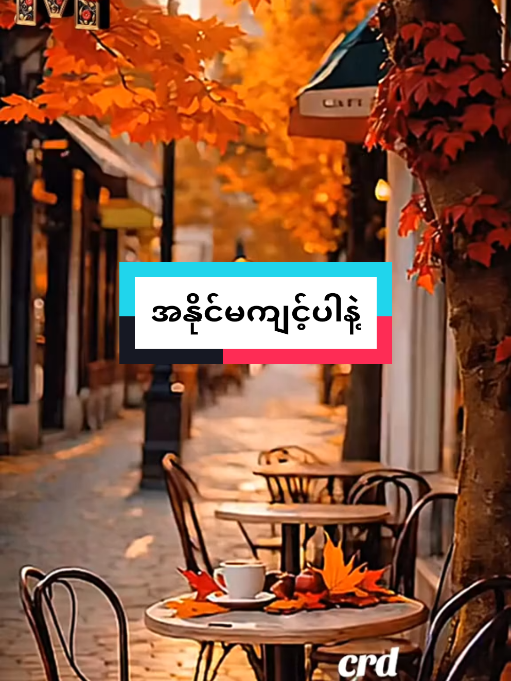 #အဖီးလ်သမားလေးကျွန်တော် #ကိုယ့်အပေါ်ချစ်ပြီးကောင်းတဲ့သူကိုအနိုင်မကျင့်ပါနဲ့ #မူရင်းကိုcrdပေးပါတယ် 🙏#titokmyanmar🇲🇲🇲🇲🇲🇲 #foryoupage❤️❤️ 