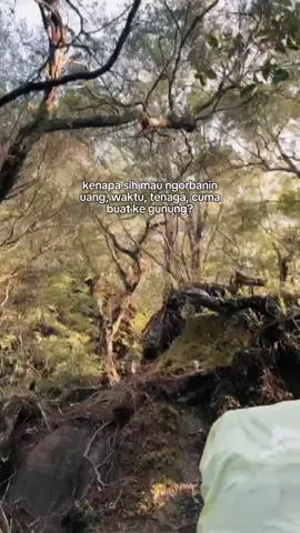 Real tentang gunung #pyfツ #pendakiindonesia #pendakigunung #pecintaalam 