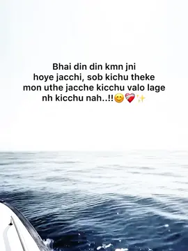 Bhai din din kmn jni hoye jacchi, sob kichu theke mon uthe jacche kicchu valo lage nh kicchu nah..!!😊❤️‍🩹✨ #foryou #foryoupage #fyppppppppppppppppppppppp 