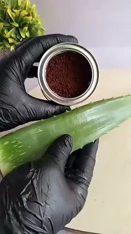 Alovera and coffee for massive hair growth. #howtogrowlonghair #fastesthairgrowth #hairfalltreatment 