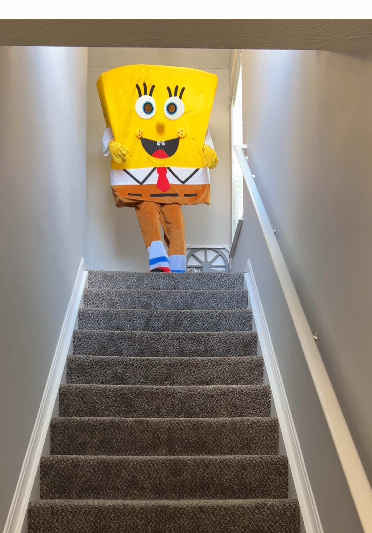 Goodnight again #spongebob #perfectloop 