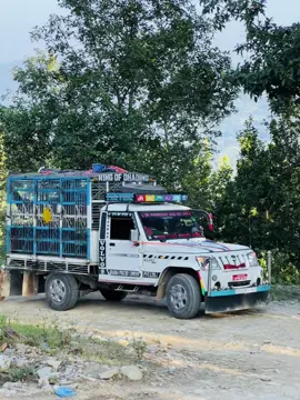 @Khadka poultry company @Pradipxettri @Purushottam khadka3695 