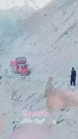 #duet with @🚚ڈراہیور لوگ✈️