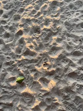 #cabongaoanbeachburgospangasinan #rovensplacecabongaon #cabongaoanbeach #fyp #fypage #foryoupage #viral #makeitvirаl 