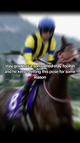 stay foolish for umamusume if they arent a jester i will cry #staygold #umamusume #stayfoolish #horseracing 