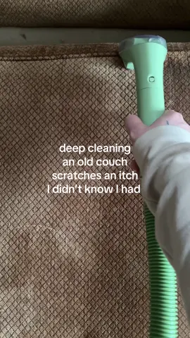Almost as satisfying as pressure washing #CleanTok  