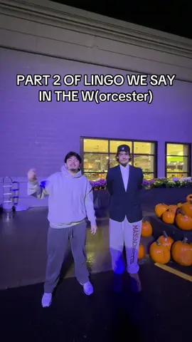 PART 2 OF LINGO WE SAY IN THE DUB #fyp #trending #massachusetts #lingo @aidan cloutier 