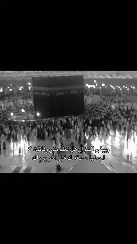 الاية ذي والله قشعرتني ! #قران #quran #لا_اله_الا_الله_محمد_رسول_الله 