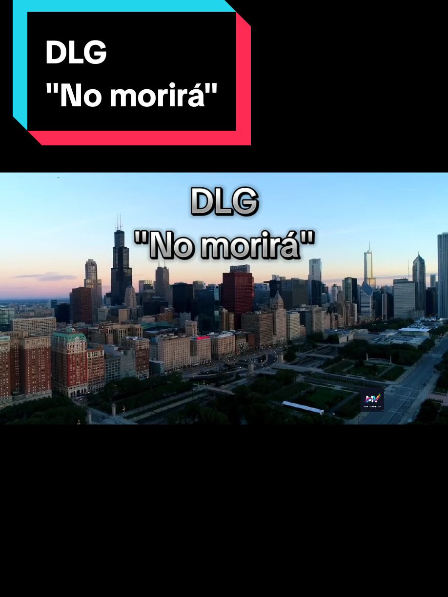 DLG 