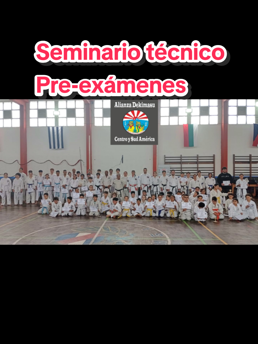 Gran seminario técnico pre-exámenes Dekimasu #karate #dojo #artesmarciales #shotokankarate 