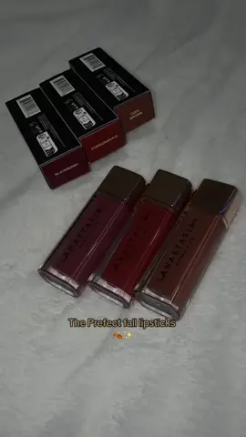 Fall vibez🍂🤎 @Anastasia Beverly Hills #tiktokshopcybermonday #tiktokshopblackfriday #tiktokshopfalldealsforyou #tiktokshopcreatorpicks #lipvelvet 