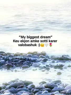 “My biggest dream” Keu ekjon amke sotti karer valobashuk :)🫠🤍🌷 #foryou #foryoupage #unfrezzmyaccount #bdtiktokofficial #views @TikTok @TikTok Bangladesh @For You House ⍟ 