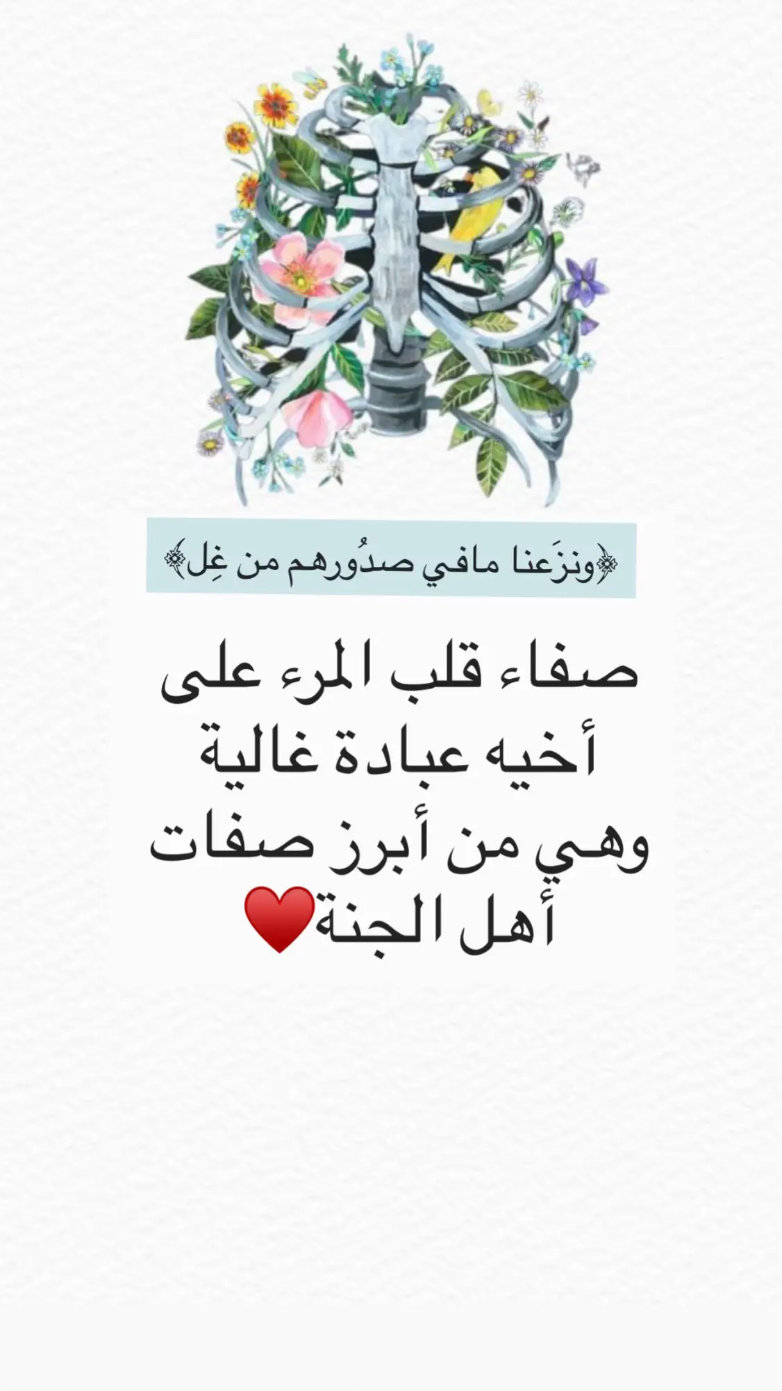 #اكسبلور 
