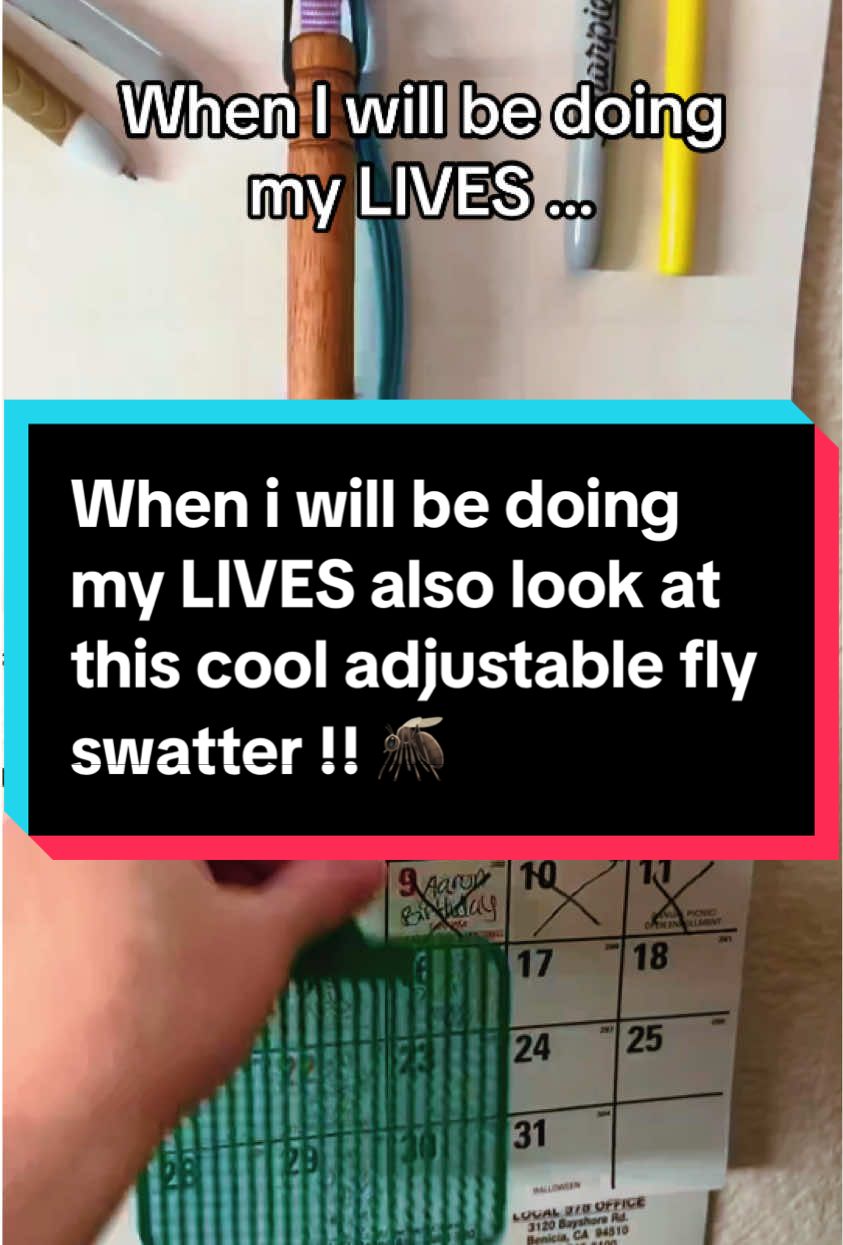 Adjustable Fly Swatter #adjustable #flyswatter #tiktoklive #PaidPartnership #GoLIVEGrowFast 