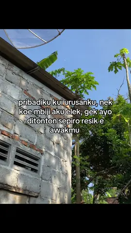 #4u #bismillahfypシ #foryoupage #jowostory #masukberanda 
