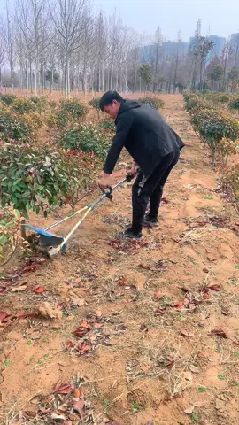 máy sới đất làm cỏ tiện dụng cầm tay#xuhuong #maysoidat #maynongnghiep 