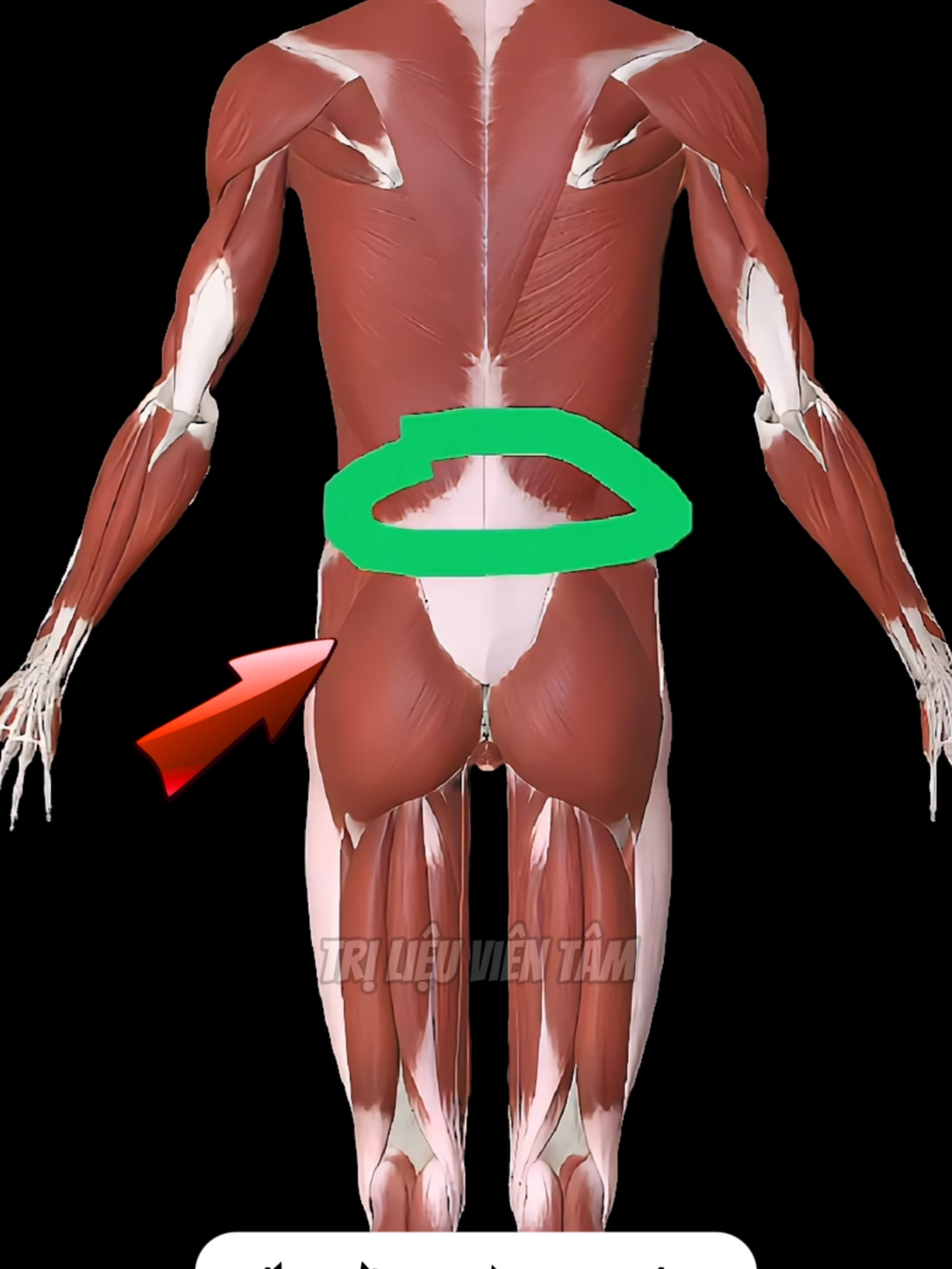 Một động tác thôi — khớp lưng tự “về vị trí” #đaulưng #trilieudaulung #baitaptainha #coxuongkhop