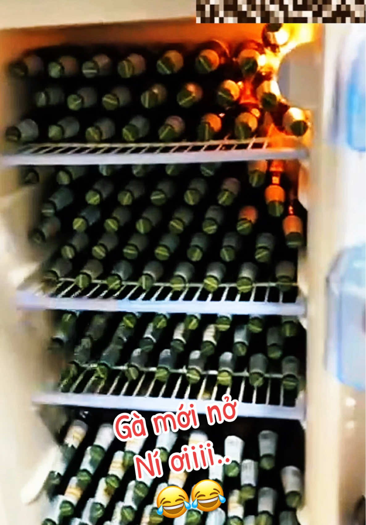 Gà mới nở ní ơiiii…😂😂😂